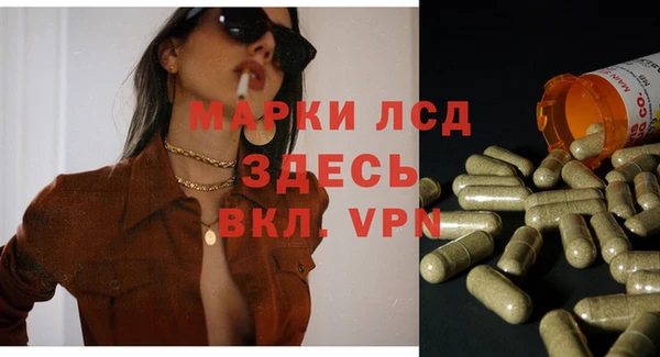 гидра Протвино