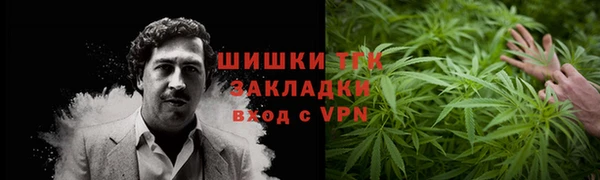 Альфа ПВП Инсар