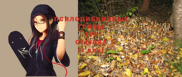дживик Зеленокумск