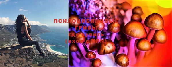 дживик Зеленокумск