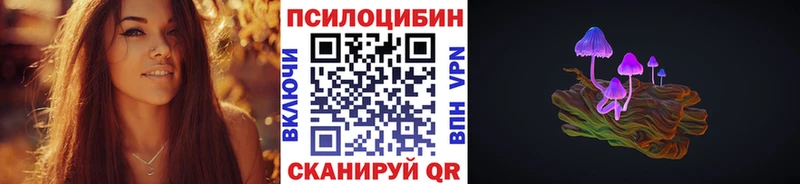 Псилоцибиновые грибы Psilocybe  Каменск-Шахтинский 