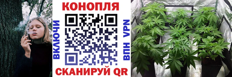 где продают наркотики blacksprut зеркало Конопля планчик Каменск-Шахтинский